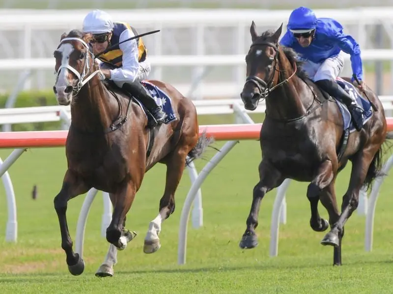 Jockey Blake Shinn rides Tom Melbourne to victory in race 7.