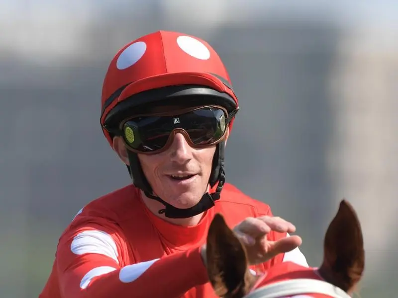 Jockey Billy Owen returns to scale after riding Junglized to victory.