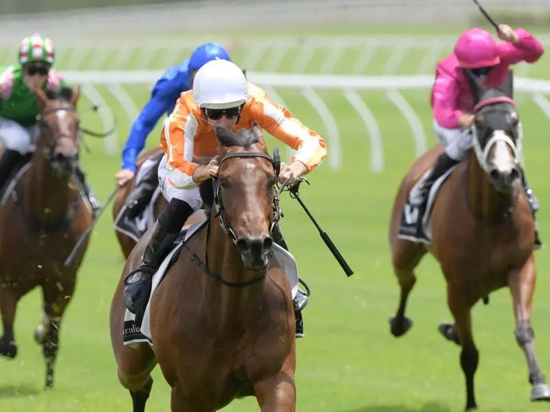 Ljungberg will bypass the Magic Millions Guineas despite an impressive win at Randwick. Ljungberg