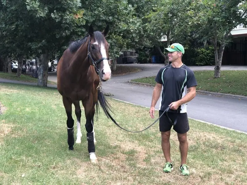 The Chris Waller-trained Tom Melbourne will begin his next campaign in the Carrington Stakes. tom melbourne