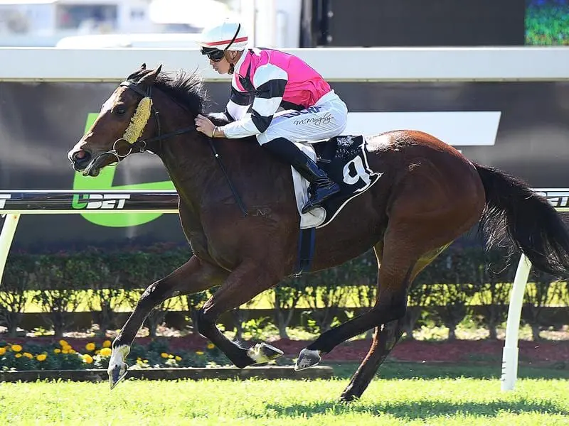 Archer's Paradox will revive memories when she runs in the Hocking family colours at Caloundra. archer's paradise