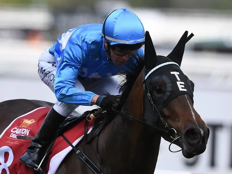 Toby Edmonds will decide on a southern program for From Within after she runs at the Sunshine Coast. from within