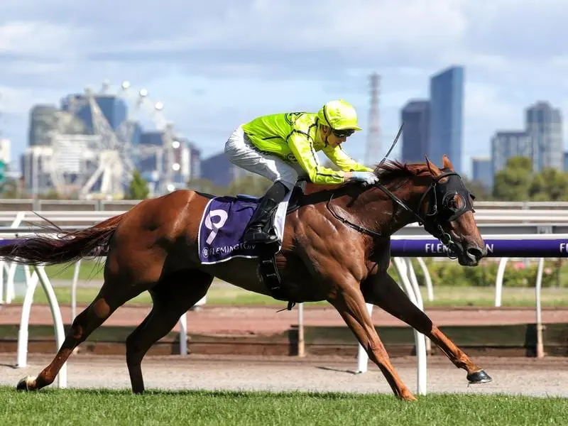 The popular Mr Money Bags can enhance his All Star Mile chances when he runs at Caulfield. mr money bags