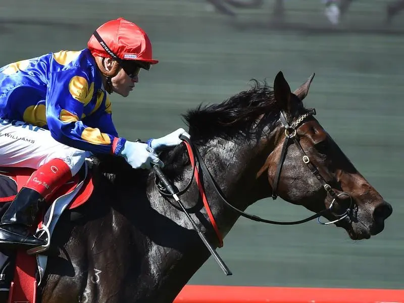 Judge O'Reilly at Sandown.