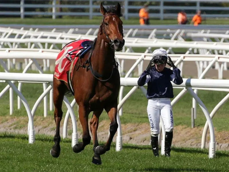 Jockey Kayla Crowther walking back to the mounting yard