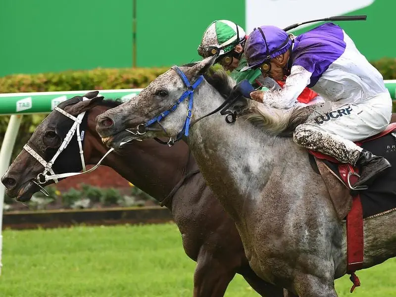 Michael Cahill rides The Candy Man (right) to victory