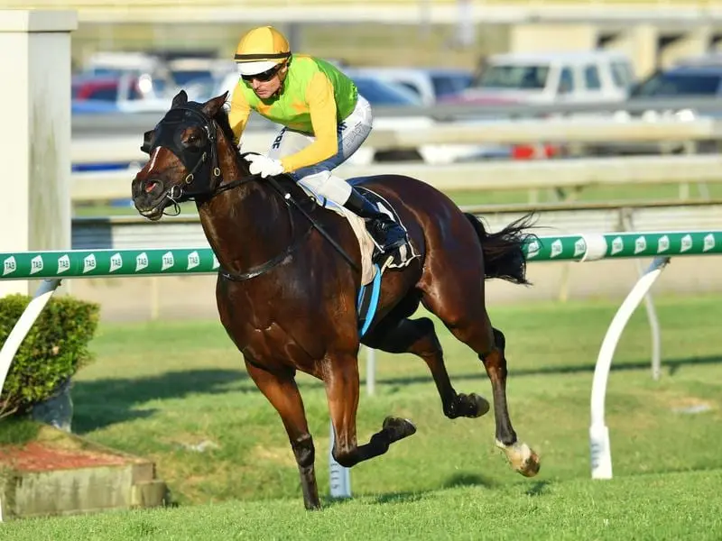 I'm A Rippa will back up seven days after the Doomben 10,000 into the BRC Sprint. i'm a rippa