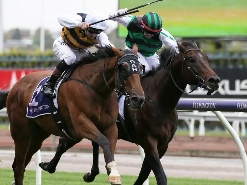 Fastnet Tempest (left) beats Addictive Nature.