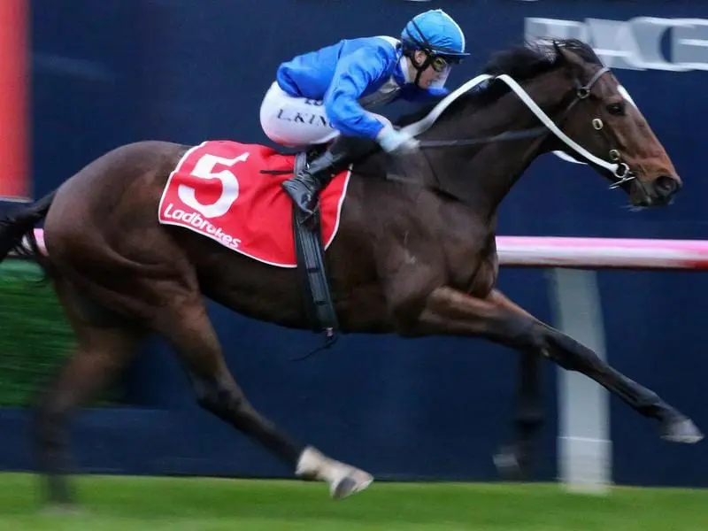 Jockey Lachlan King rides Masculino to victory