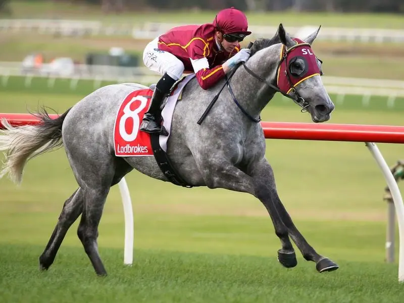 Blazejowski will try to extend his winning sequence to four when he lines up at Flemington. blazejowski
