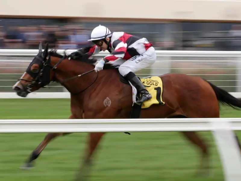 Halvorsen is on target for the Creswick Stakes at Flemington after recent straight-track experience. halvorsen