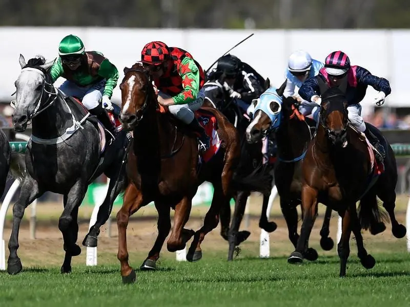 Matthew McGuren rides Queen of Kingston to a win at Ipswich.