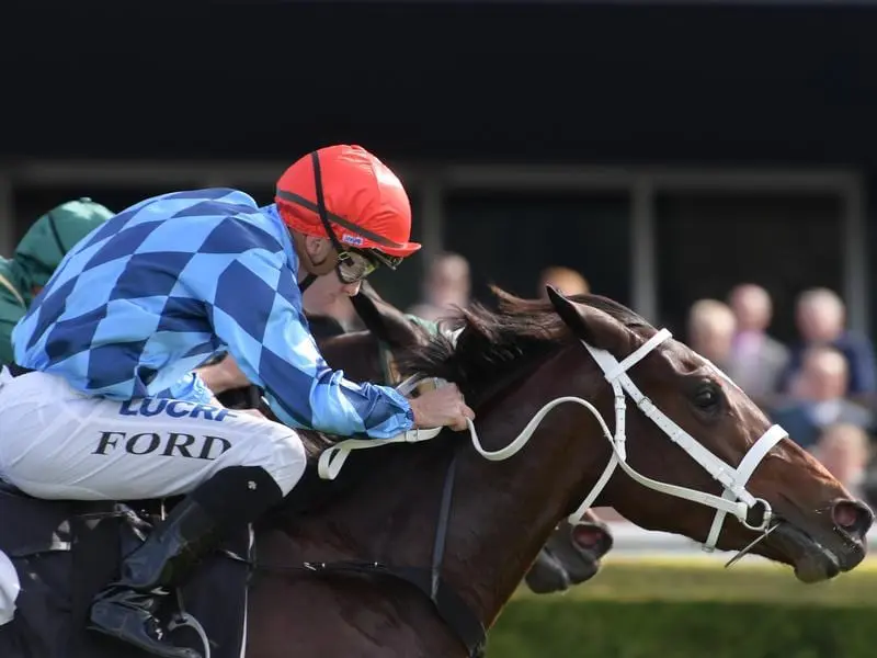 Jockey Jay Ford rides Funstar to victory at Randwick.