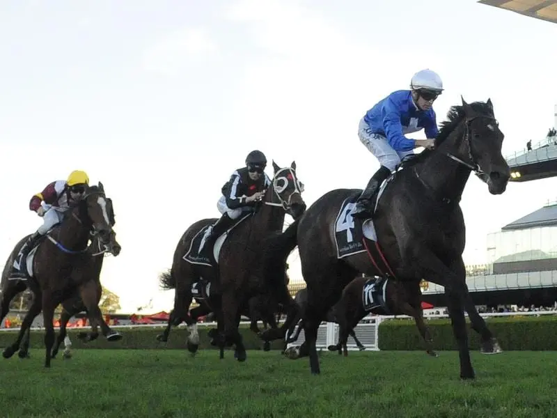 Defending titleholder I Thought So will again to battle with Jungle Edge in the Winter Dash. i thought so