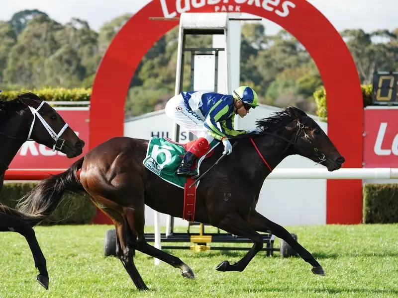 Excused has made a wining debut at Sandown to set herself up for a big spring campaign. excused