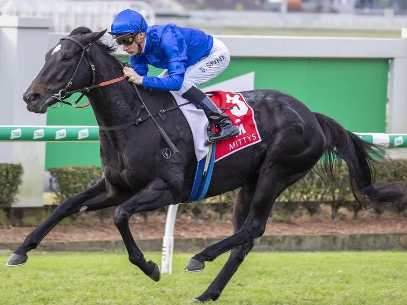 Jeff Lloyd hopes to retire with another G1 when he rides Godolphin's Multaja in the Tatt's Tiara. multaja