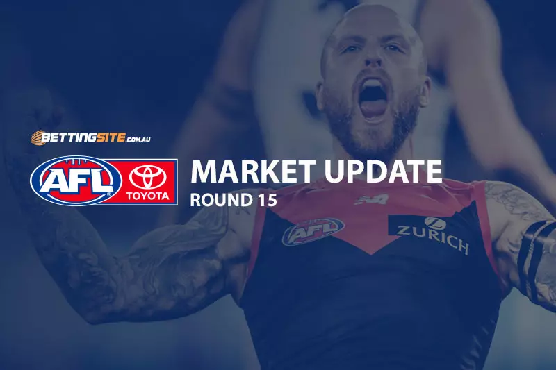 2019 AFL Round 15 market update