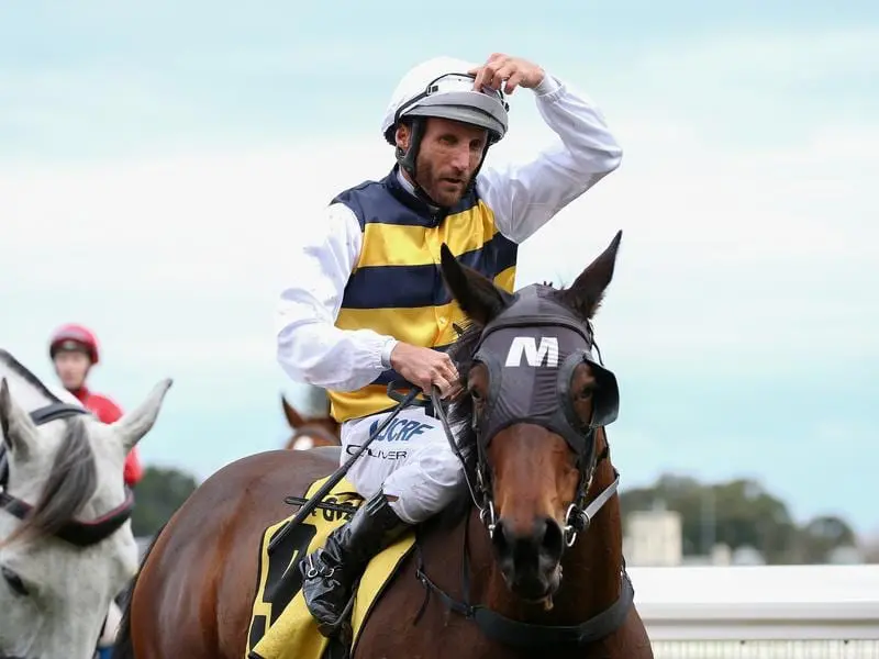 Benitoite after her Caulfield win.