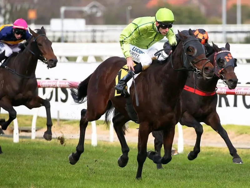 Self Sense resumes at Caulfield.