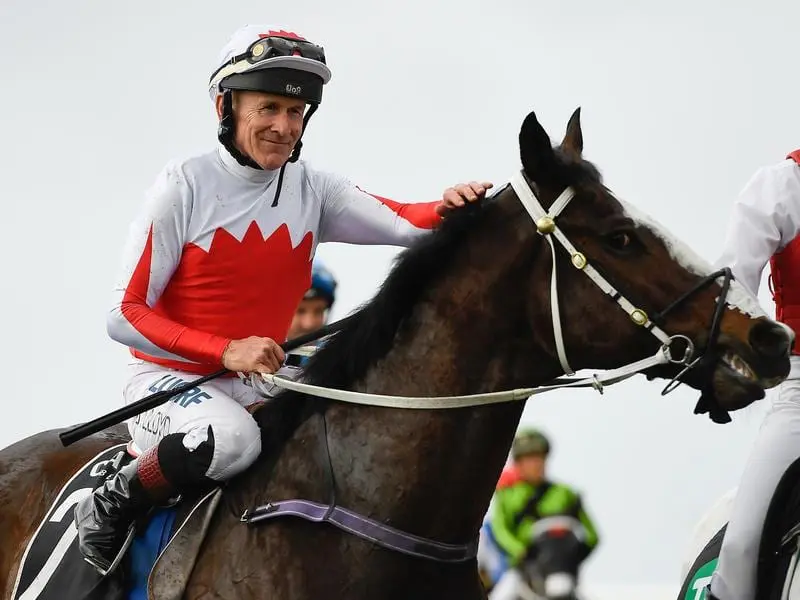 Jeff Lloyd after riding Handsome Thief to victory at Doomben.