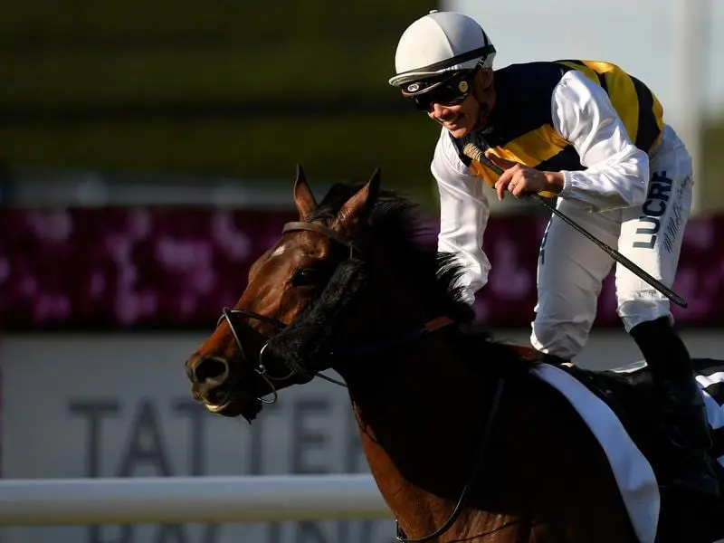 Azuro wins the Queensland Cup.