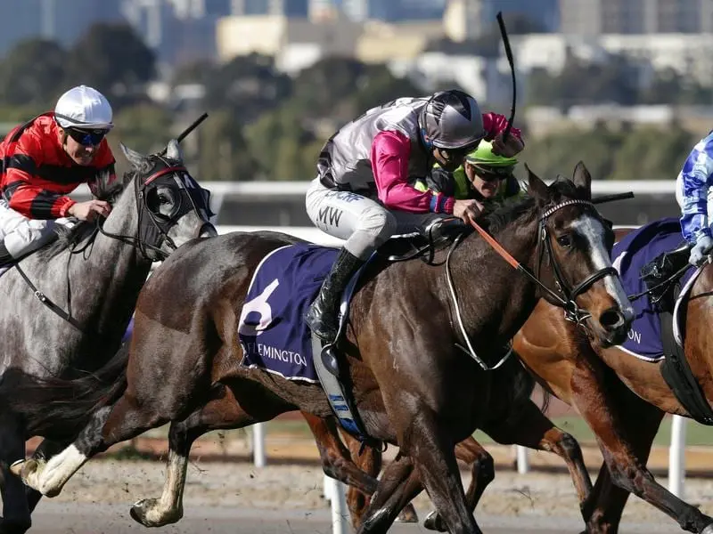 Jockey Michael Walker rides Miss Mandito to victory at Flemington.