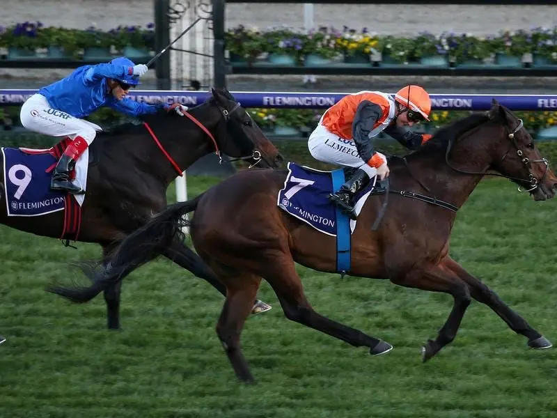 Prezado wins at Flemington.