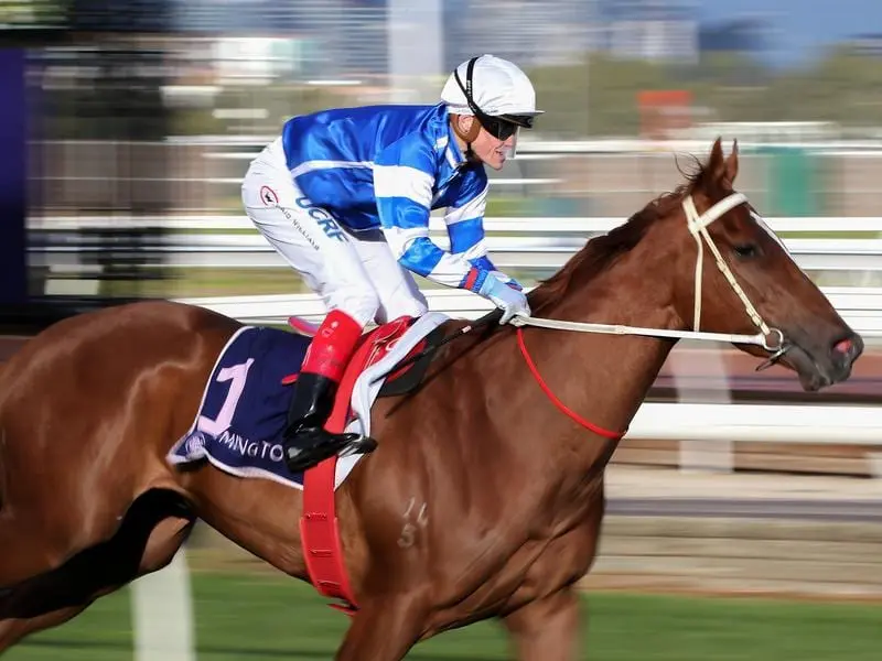 Gytrash could set the ball in motion for a path to The Everest if he can win The Heath at Caulfield. gytrash