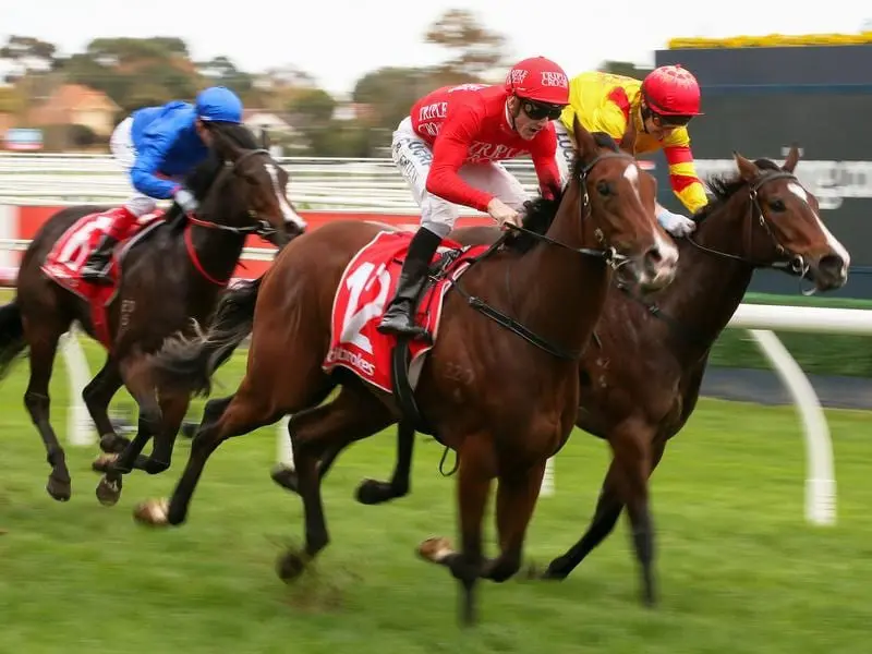 Missile Mantra (red) returns to the scene of her Listed win when she runs in the McNeil Stakes. missile mantra (red)