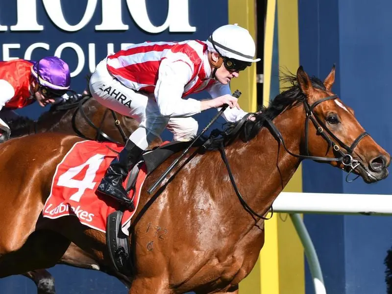 Super Seth wins the HDF McNeil Stakes at Caulfield.