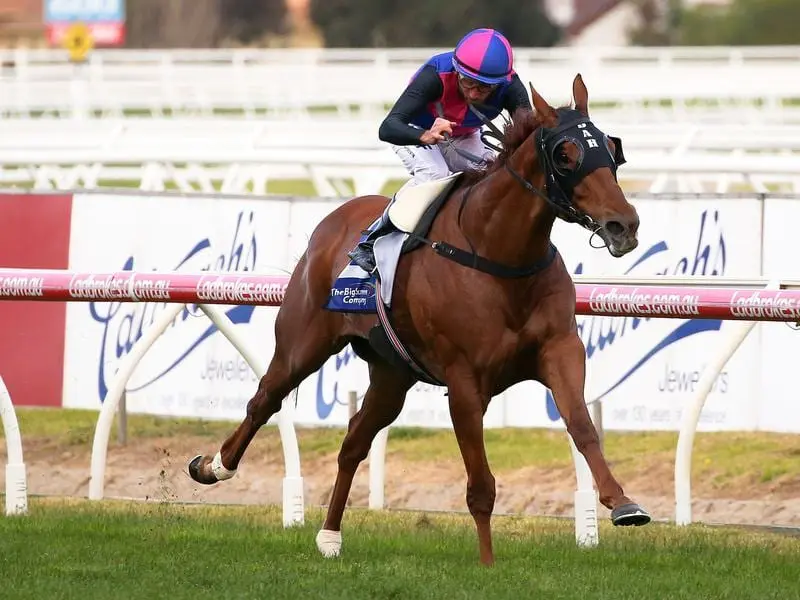 Vega Magic resumes racing at Caulfield.