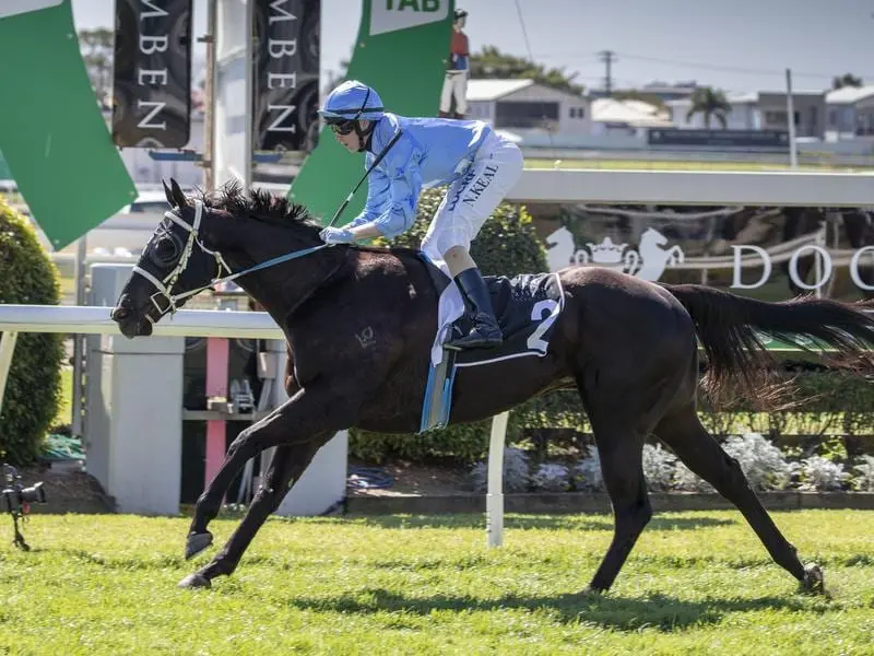 The Tax Accountant wins at Doomben.