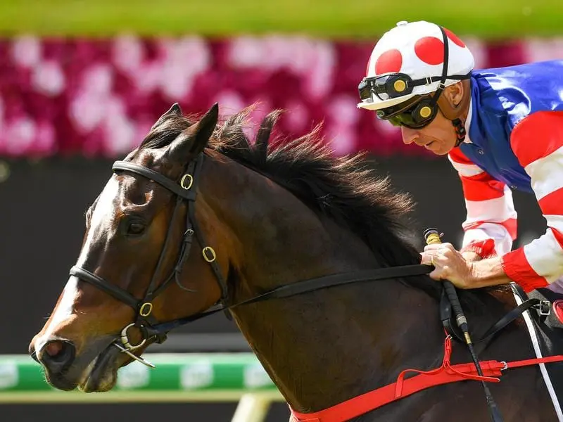 Single Bullet wins at Eagle Farm.