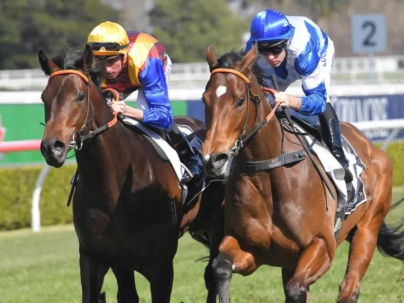 Prince Fawaz (left) and Libertini complete an exhibition gallop.