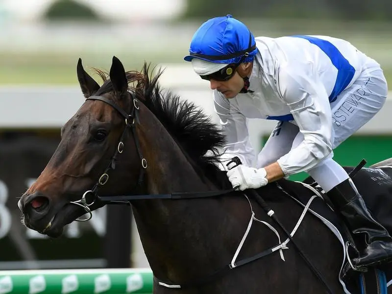 Zoustyle winning at Doomben.