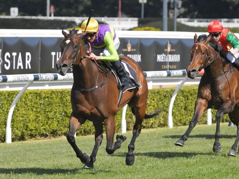 Connemara wins at Randwick.