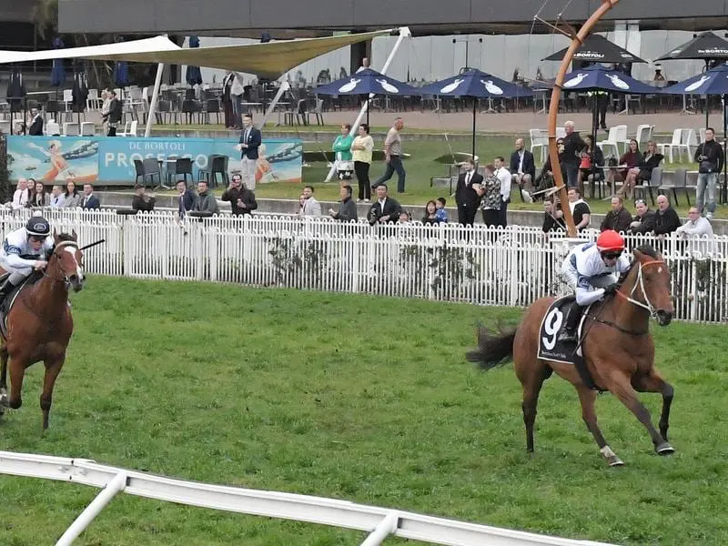 God Of Thunder wins at Rosehill.