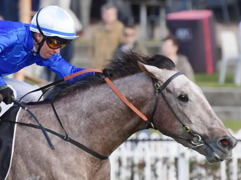 Subedar wins at Rosehill.