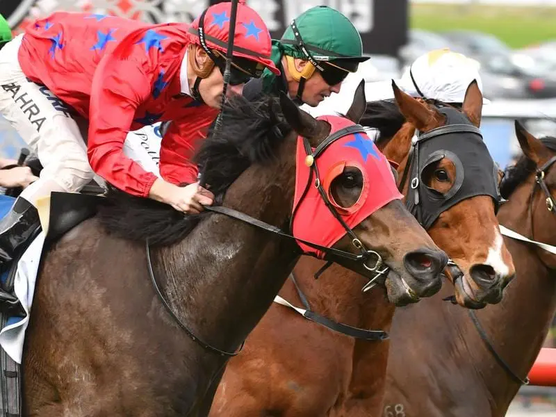 Usain Bowler wins at Moonee Valley.