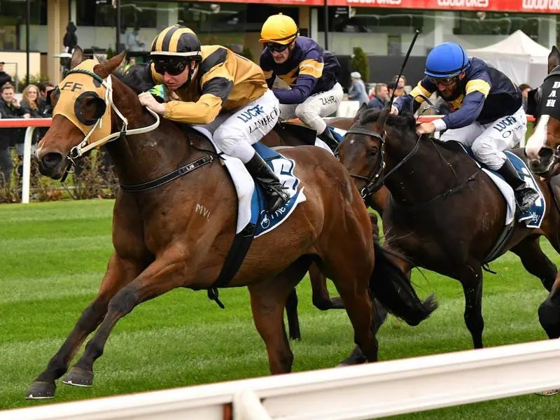 Condo's Express wins at Moonee Valley.