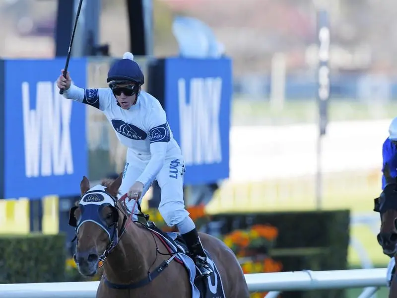 Samadoubt wins the Winx Stakes.