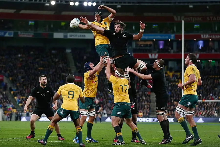 Bledisloe Cup betting