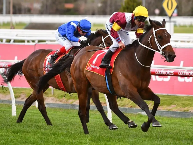 Brimham Rocks wins at Caulfield.