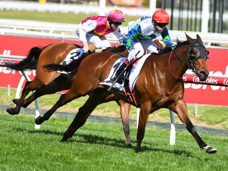 Fabric wins at Caulfield for Craig Williams.