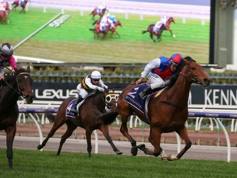 Steel Prince (r) will chase ballot-free entry to the Caulfield Cup in the MRC Foundation Cup. steel prince