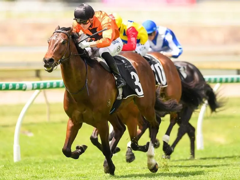 Jockey Jake Bayliss rides Pleased to victory in race 2 at Doomben