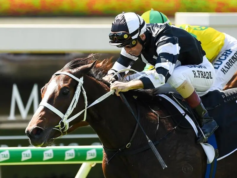 Lord Gododdin wins at Doomben.