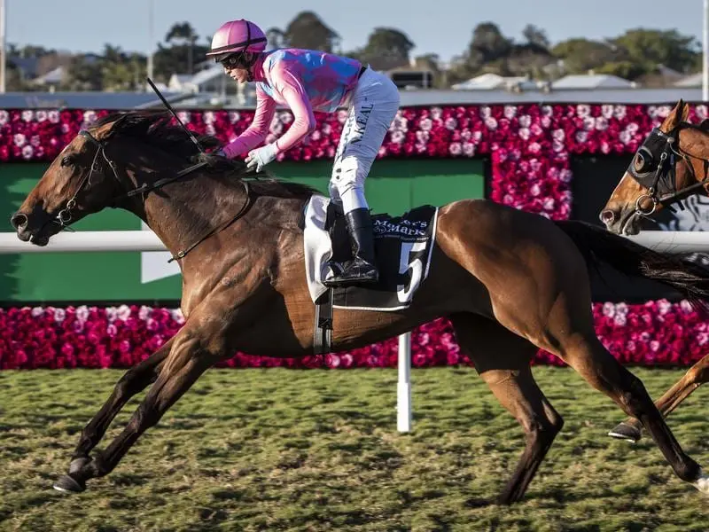 Looks Like Elvis wins at Eagle Farm.