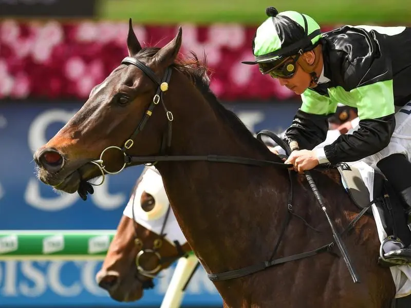 Scallopini made a winning return at Eagle Farm.