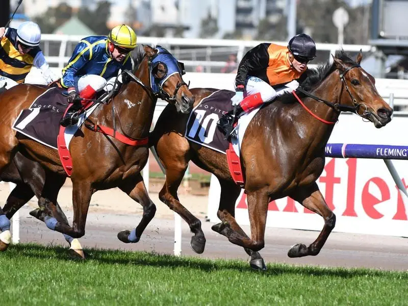 Rox The Castle wins at Flemington.